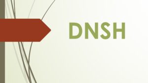 Realizzazione valutazioni DNSH